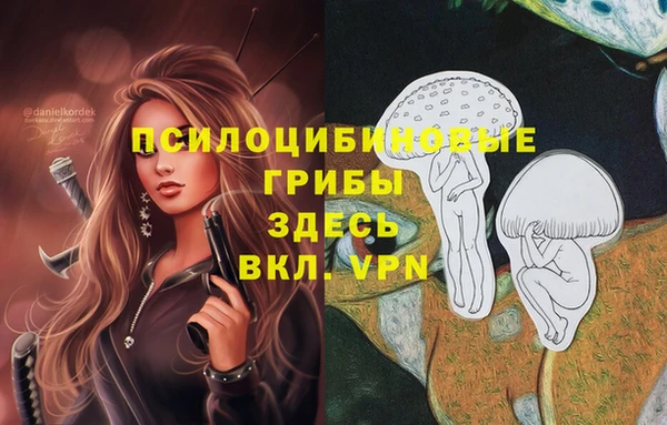 метамфетамин Богданович