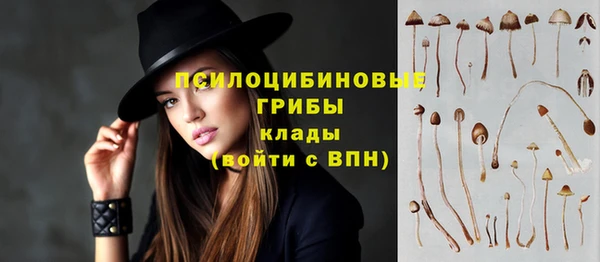 метамфетамин Богородицк