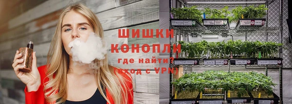 кокс Белокуриха