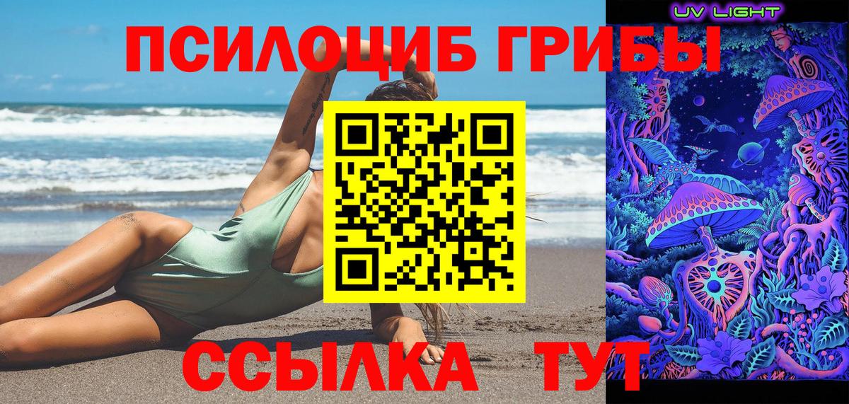 Острогожск  Псилоцибиновые грибы GOLDEN TEACHER  Вход с VPN 